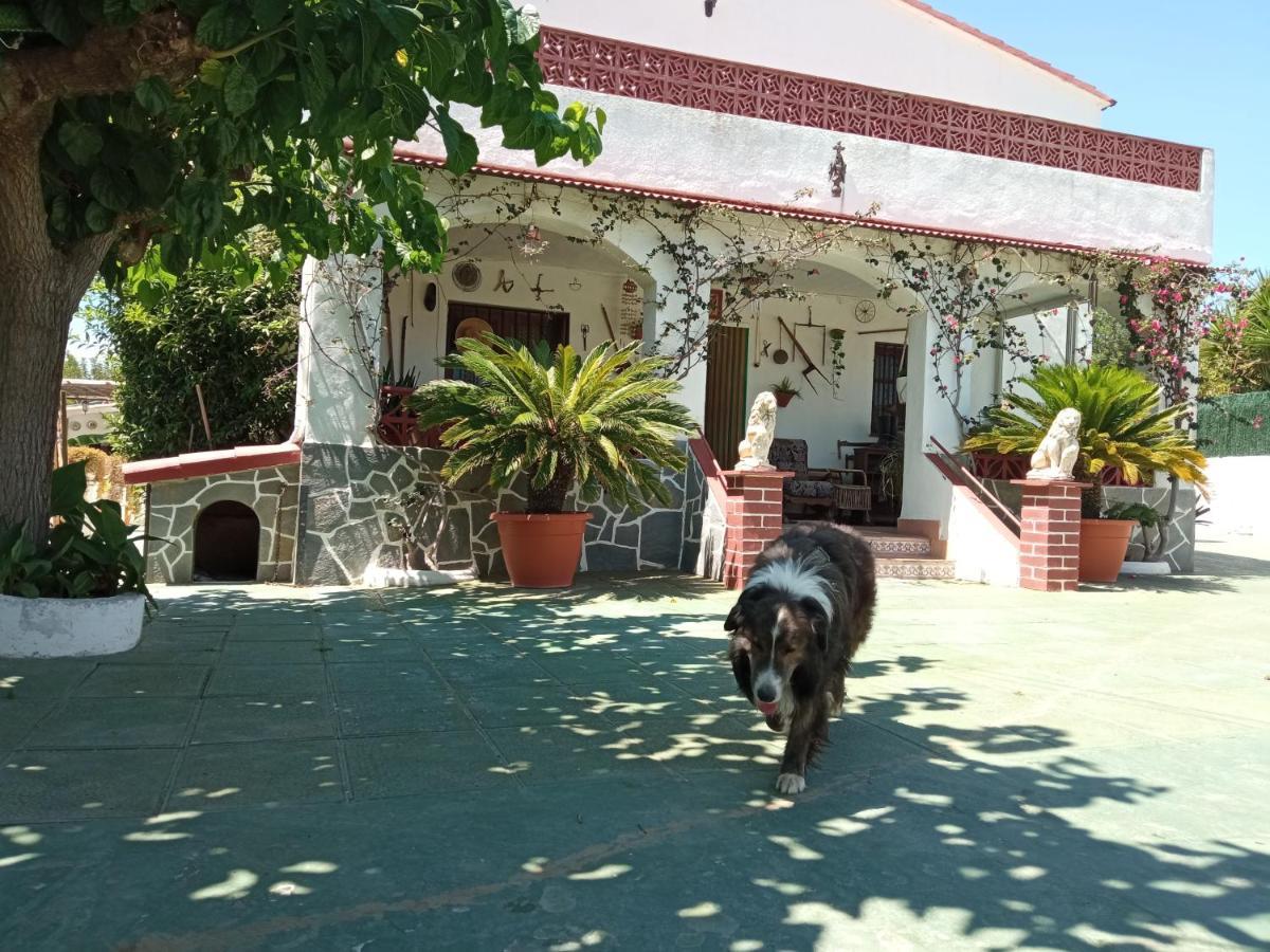La Riera  Casa Rural Cal Josefina & Tomas מראה חיצוני תמונה