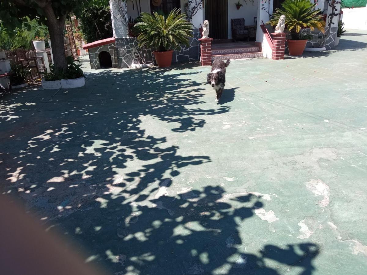 La Riera  Casa Rural Cal Josefina & Tomas מראה חיצוני תמונה